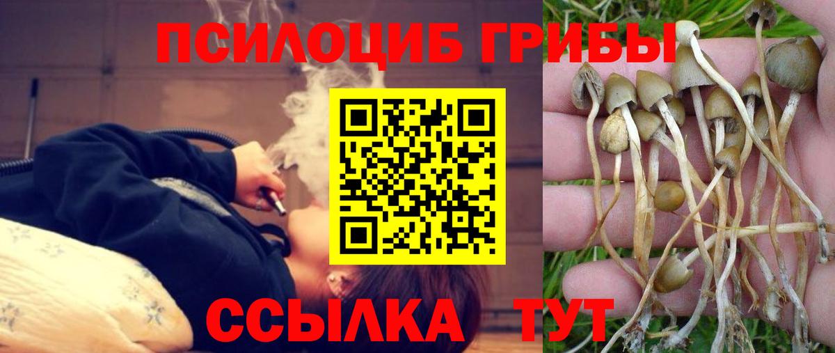 купить   Вход с VPN  Губаха  Галлюциногенные грибы прущие грибы 